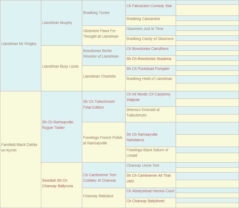 chart 3 pedigree